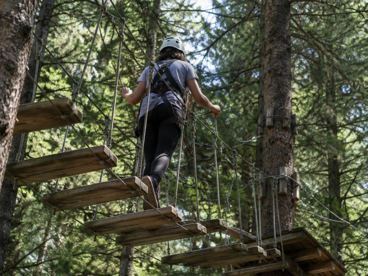 Treetop Classic