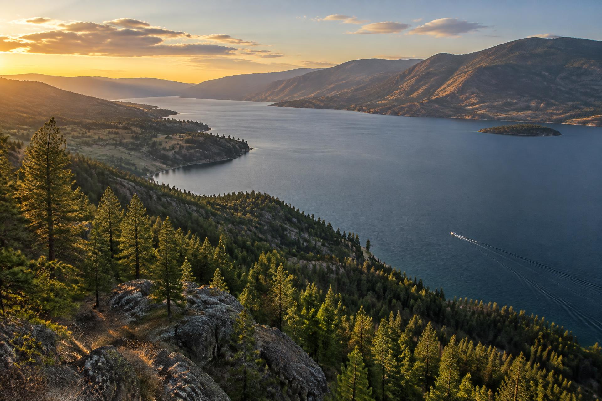 Pine forest on a ridge dropping down to Okanagan Lake at golden hour